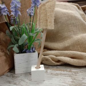 Accesorios de Cepillo Dental